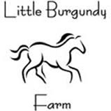 2026 Alexandria summer camps